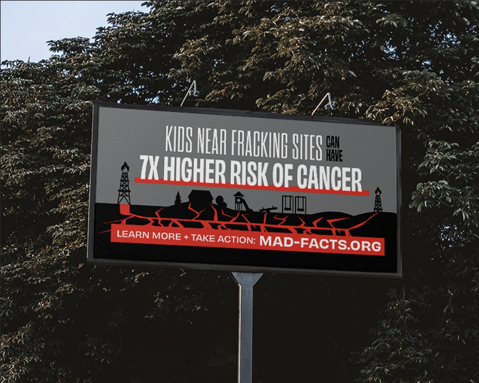 Screenshot 2025-01-30 at 12.13.55 PM